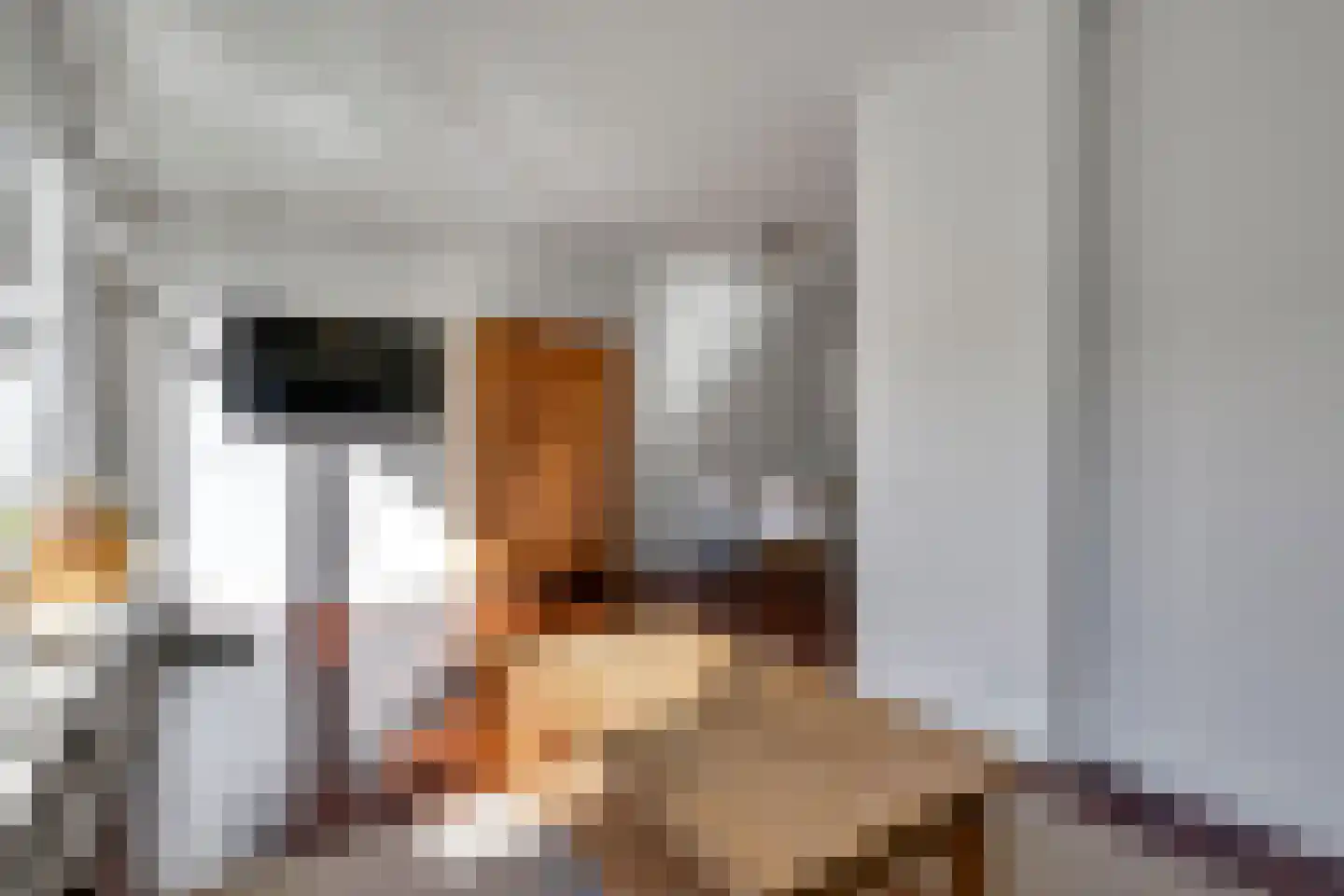 Vriezekooppad 10 Arnhem thumbnail 9