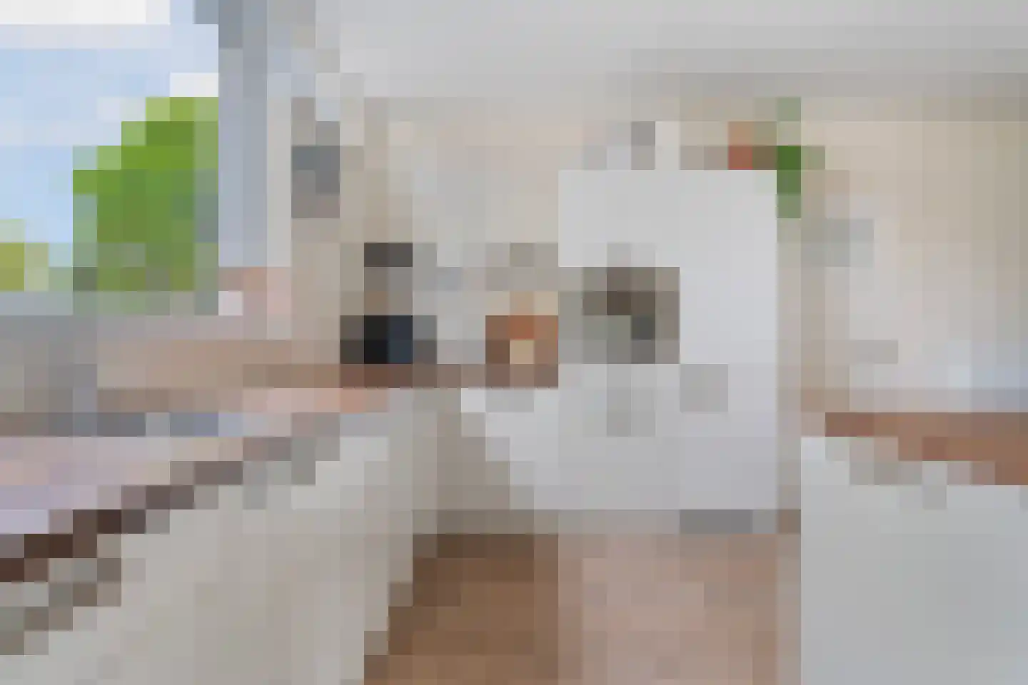 Vriezekooppad 14 Arnhem thumbnail 12