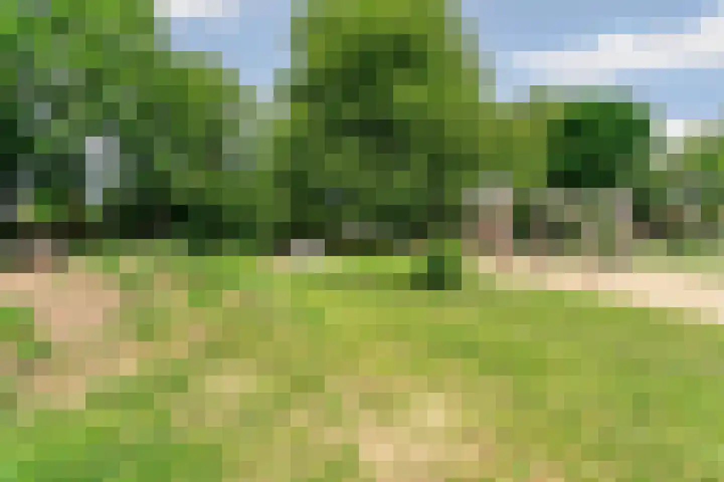 Vriezekooppad 14 Arnhem thumbnail 46