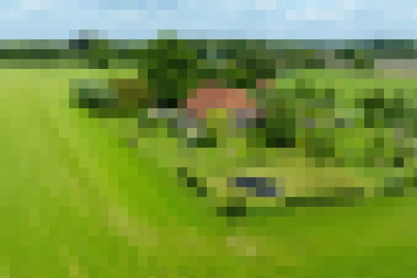 Vriezelaar 6 in Sinderen