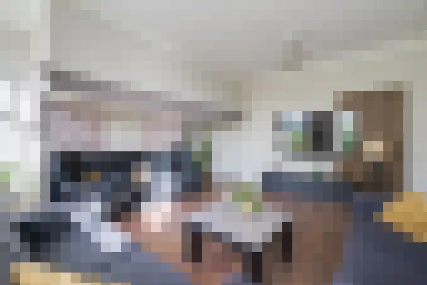 Vriezelaar 6 Sinderen thumbnail 18