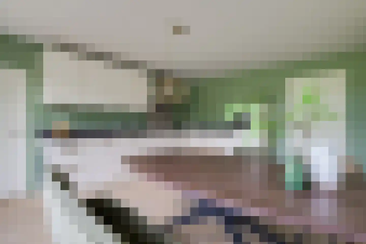 Vriezelaar 6 Sinderen foto 3