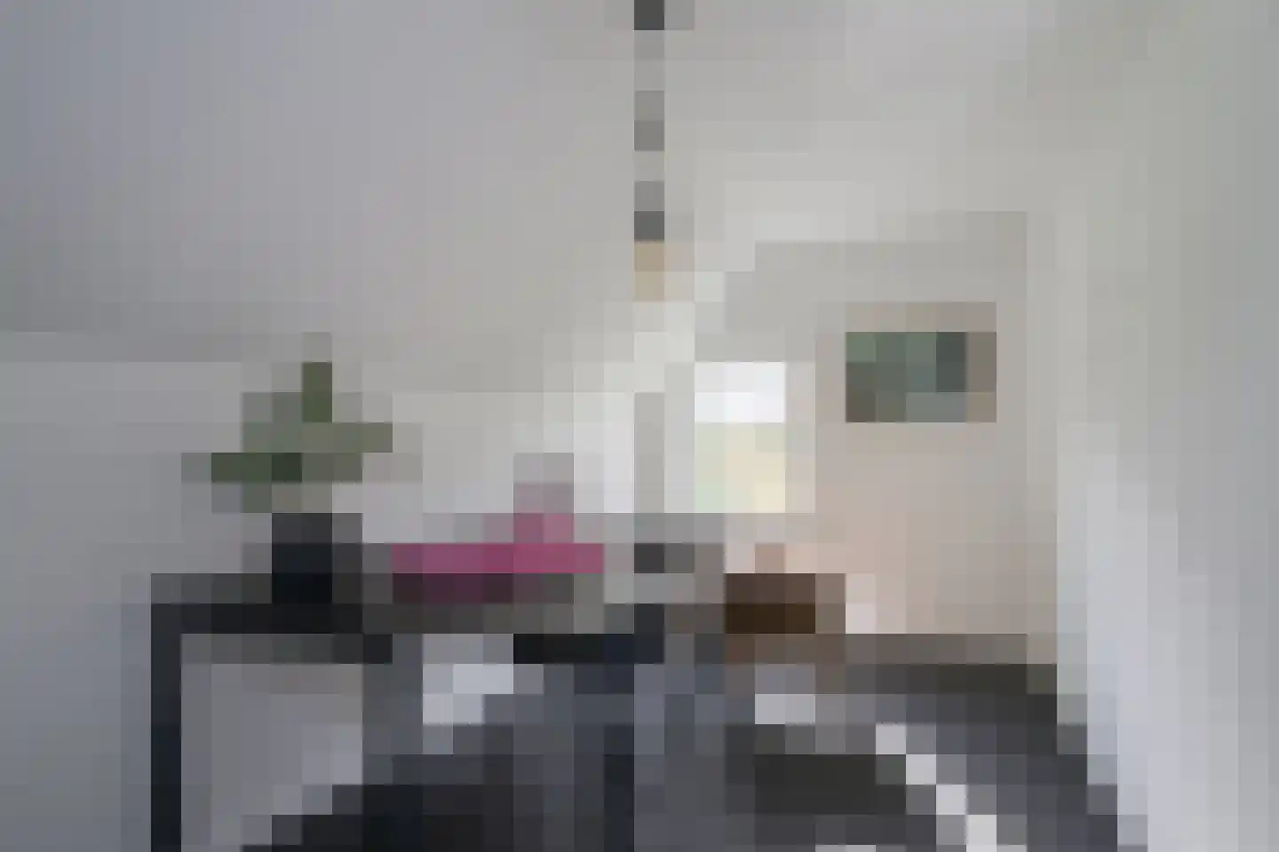 Vriezelaar 6 Sinderen thumbnail 38