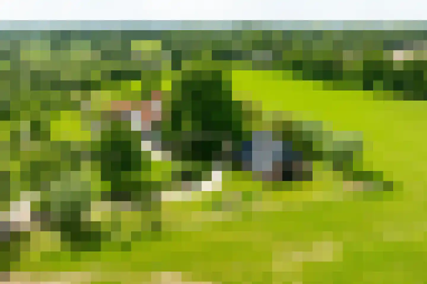 Vriezelaar 6 Sinderen thumbnail 5