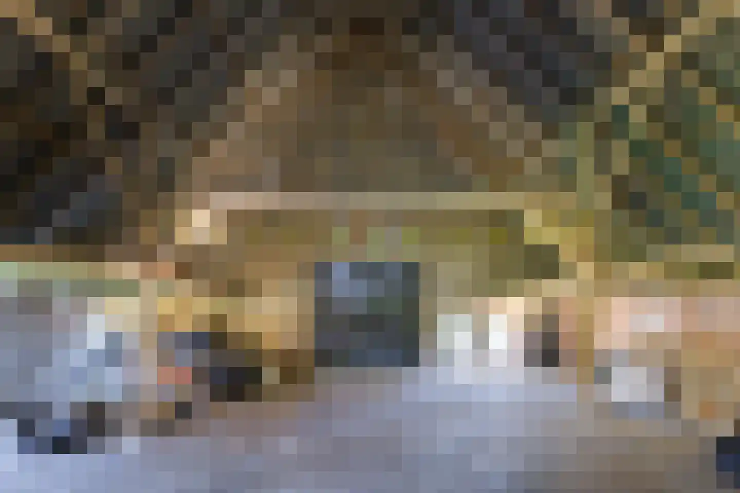 Vriezelaar 6 Sinderen thumbnail 57