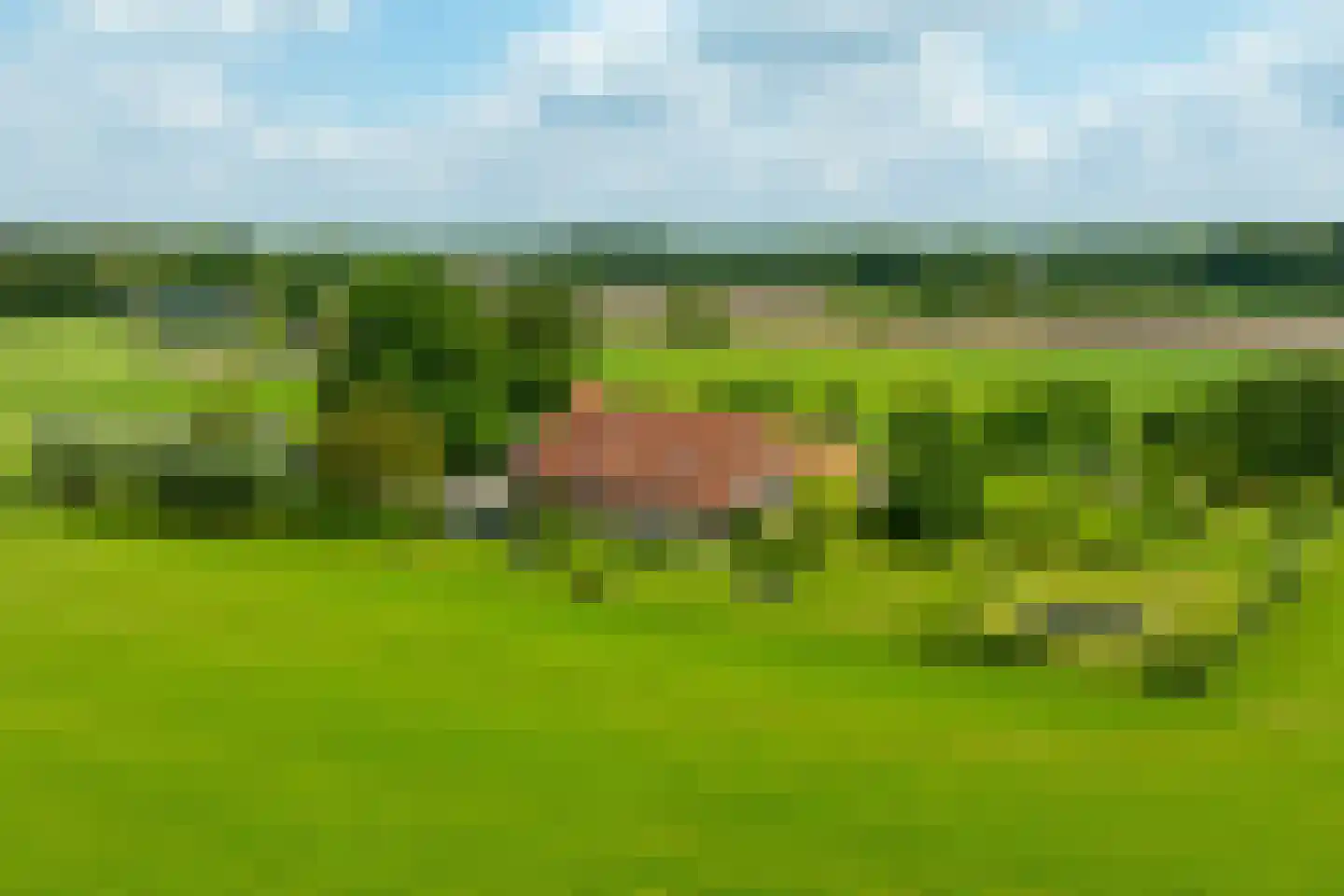 Vriezelaar 6 Sinderen thumbnail 6
