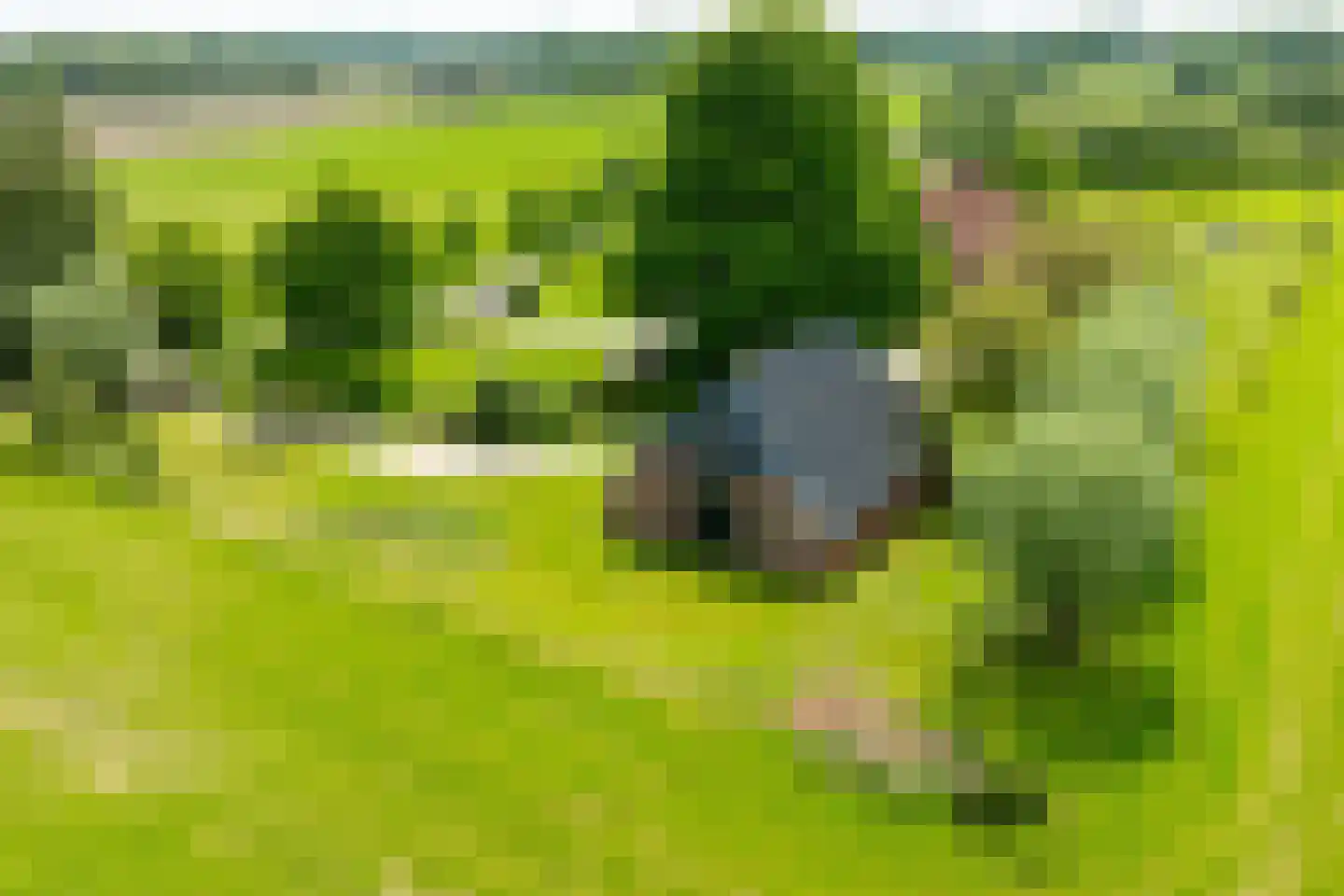 Vriezelaar 6 Sinderen thumbnail 60