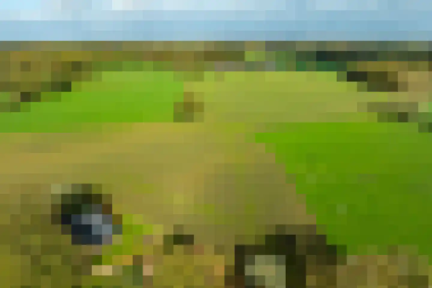 Vriezelaar 6 Sinderen thumbnail 61