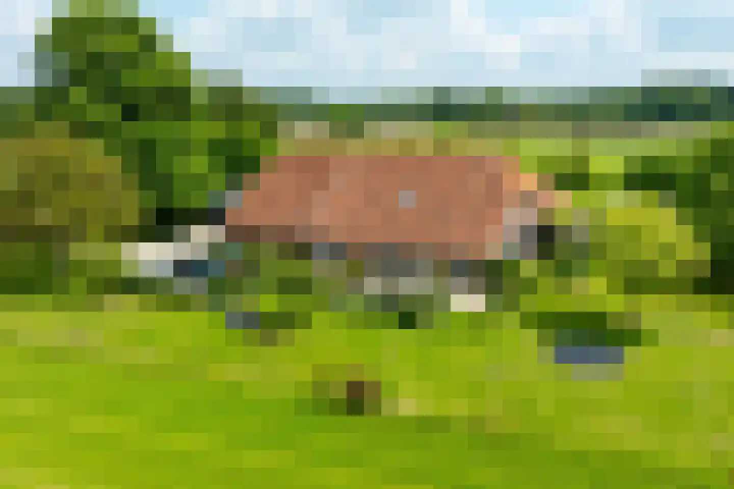 Vriezelaar 6 Sinderen thumbnail 62