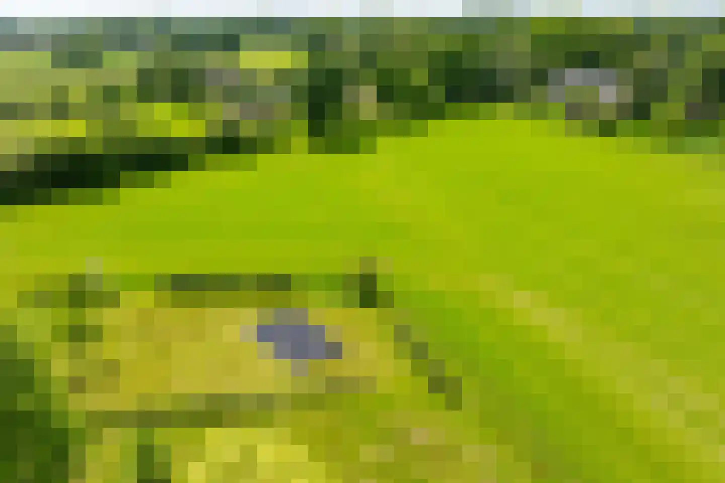 Vriezelaar 6 Sinderen thumbnail 63