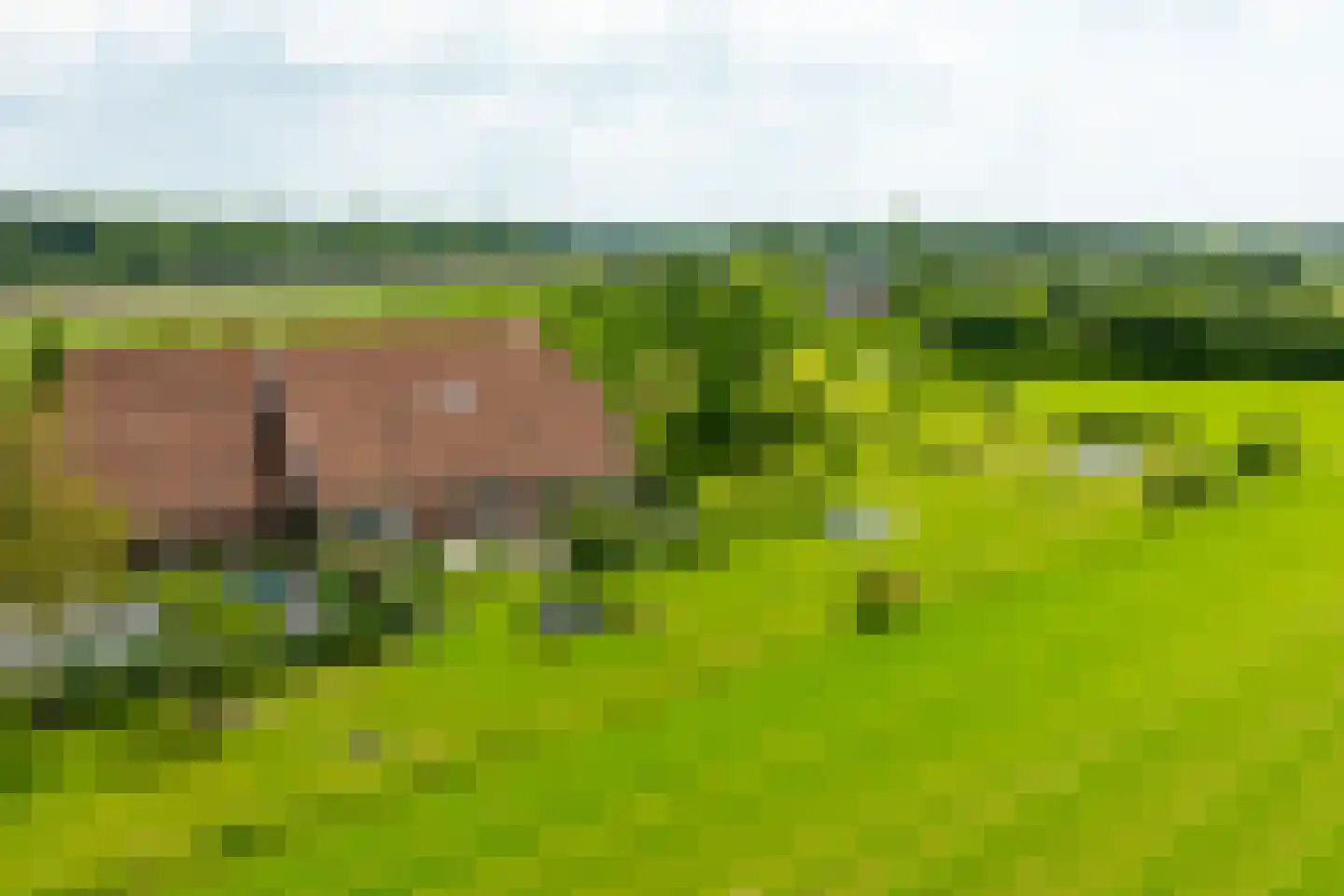 Vriezelaar 6 Sinderen thumbnail 64