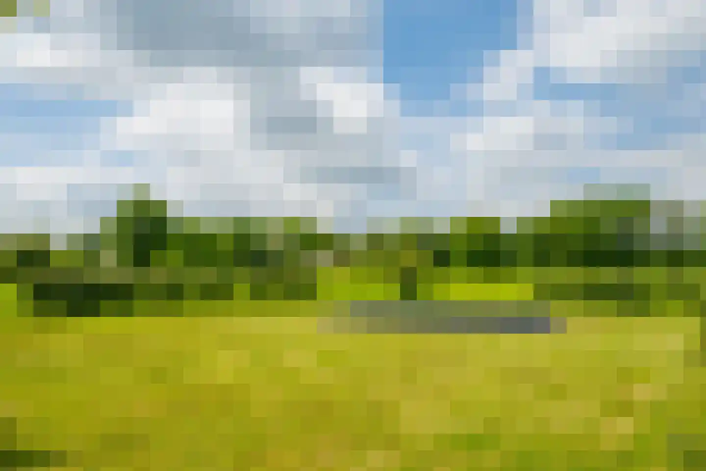 Vriezelaar 6 Sinderen thumbnail 66