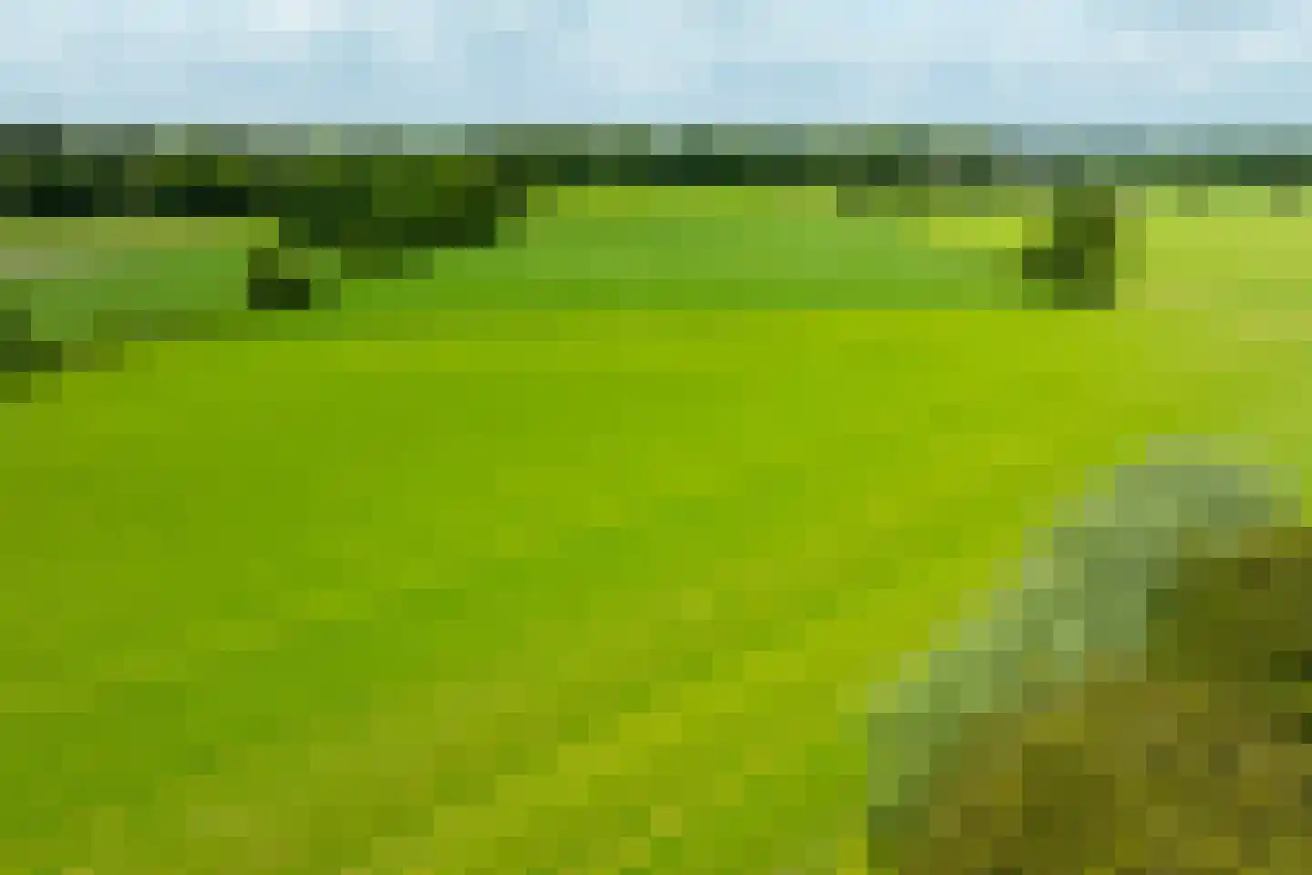 Vriezelaar 6 Sinderen thumbnail 68