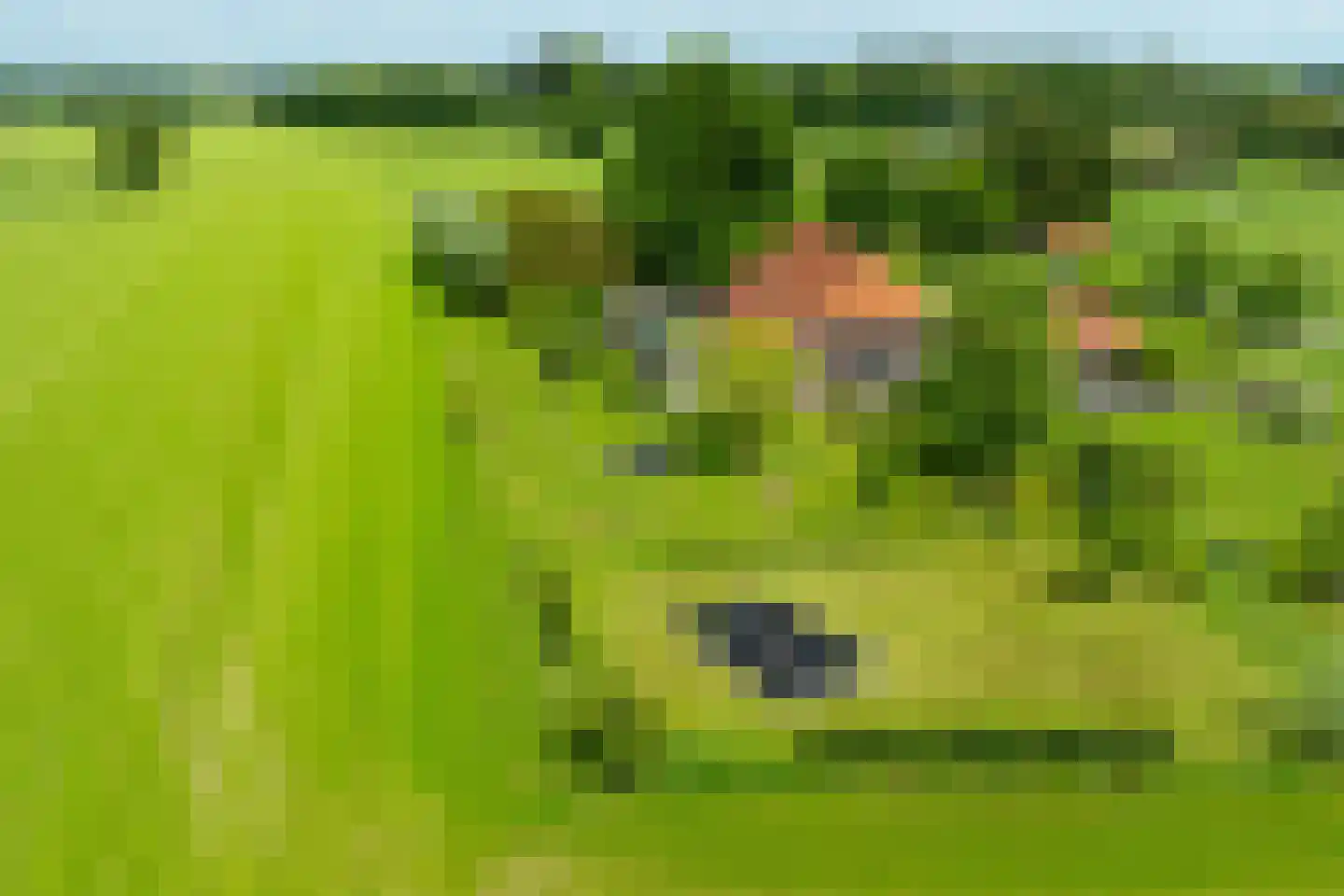 Vriezelaar 6 Sinderen thumbnail 7