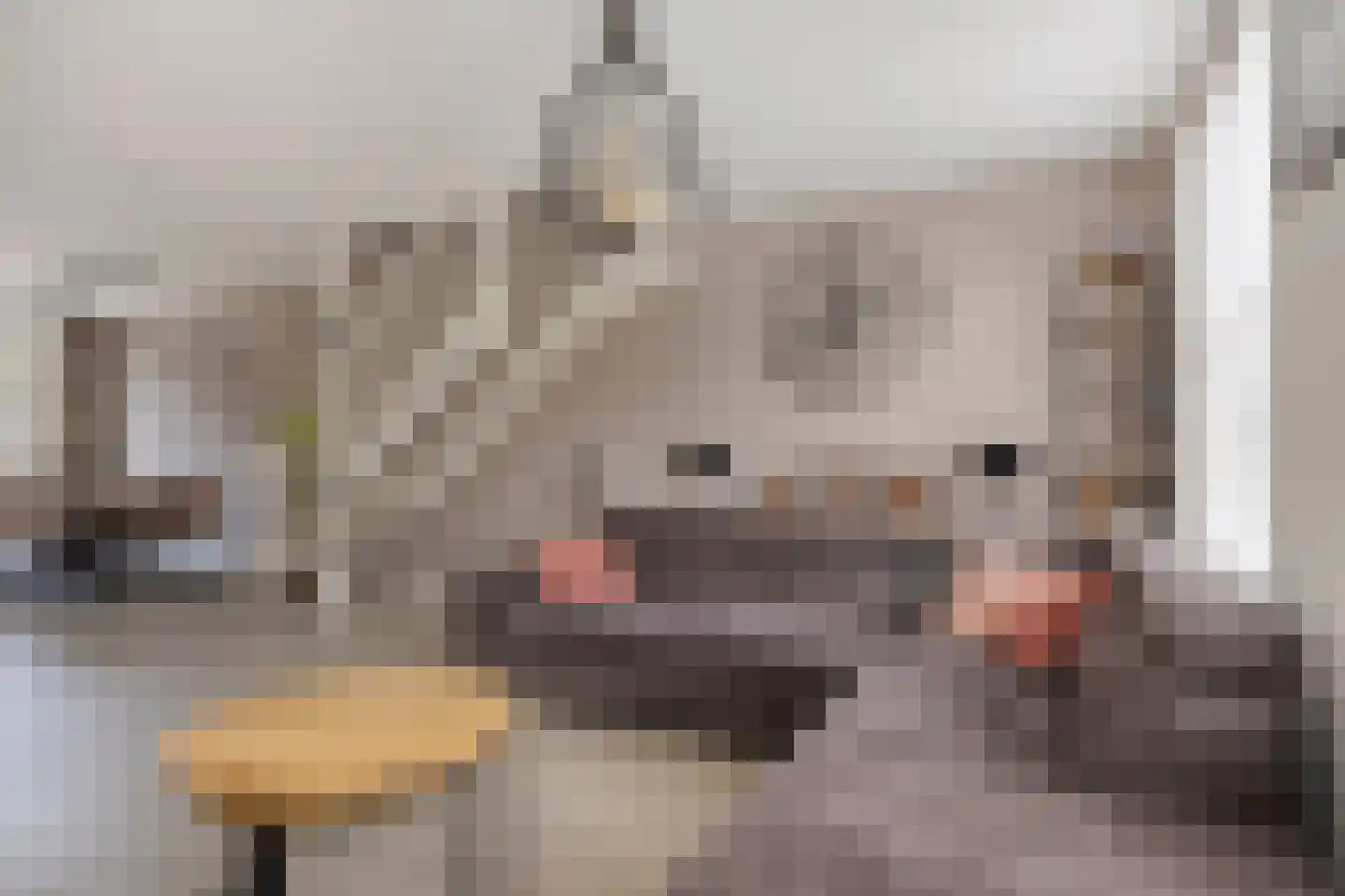 Vriezenbeemden 10 Helmond thumbnail 13