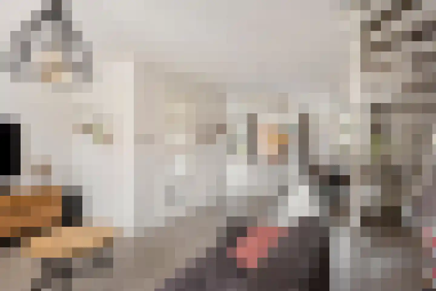 Vriezenbeemden 10 Helmond thumbnail 14