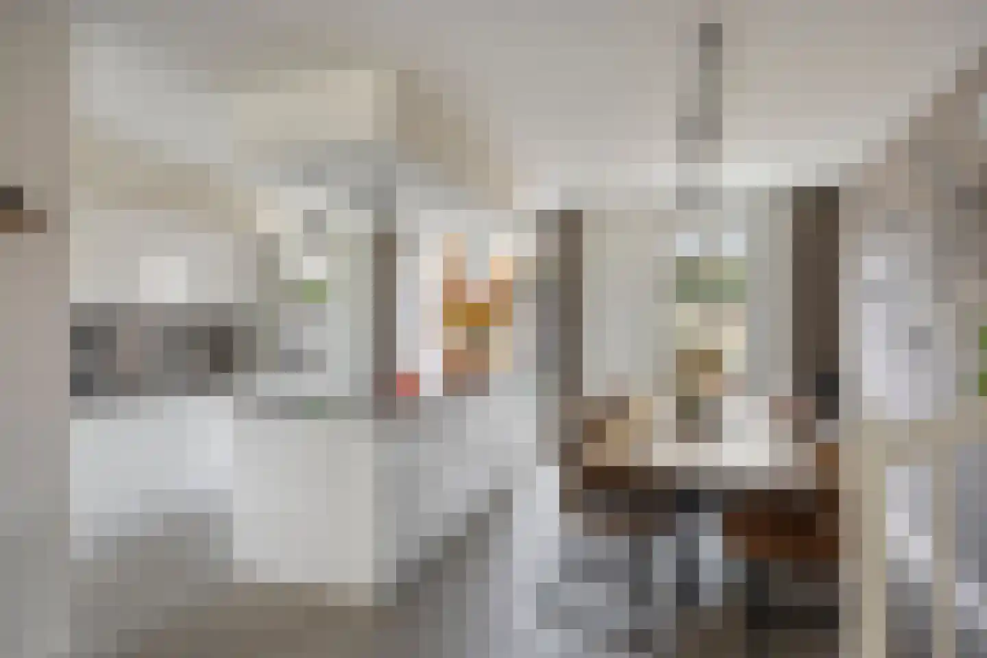 Vriezenbeemden 10 Helmond thumbnail 16