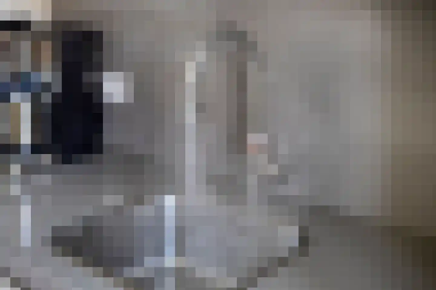 Vriezenbeemden 10 Helmond thumbnail 17