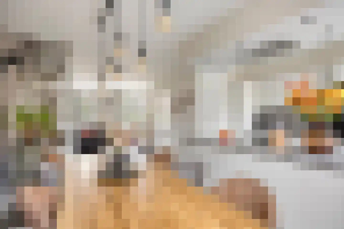 Vriezenbeemden 10 Helmond thumbnail 20