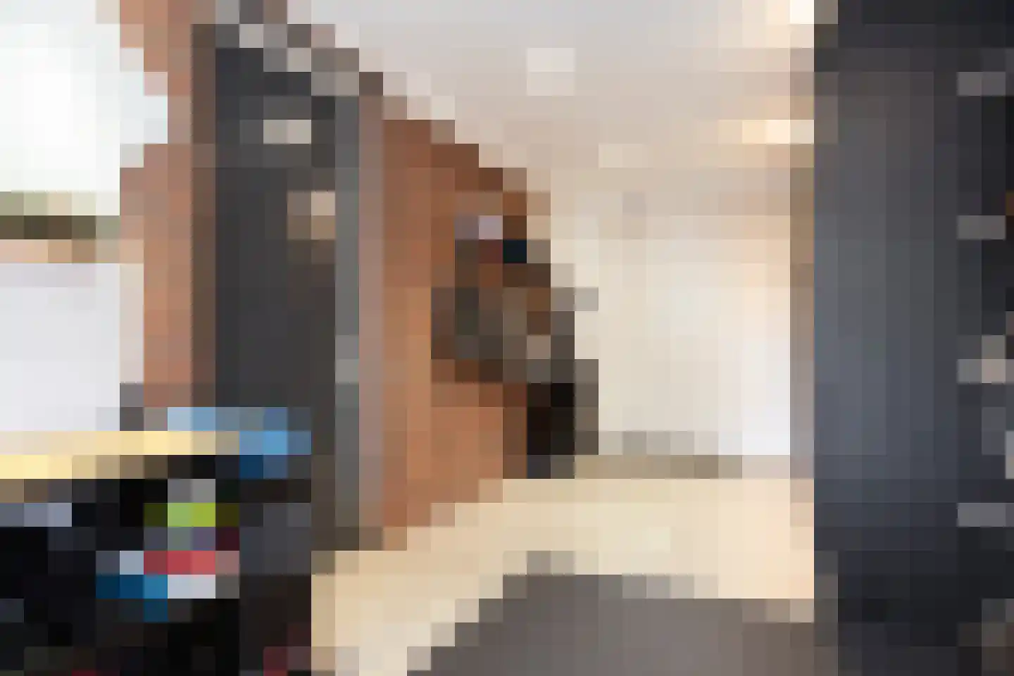 Vriezenbeemden 10 Helmond thumbnail 23