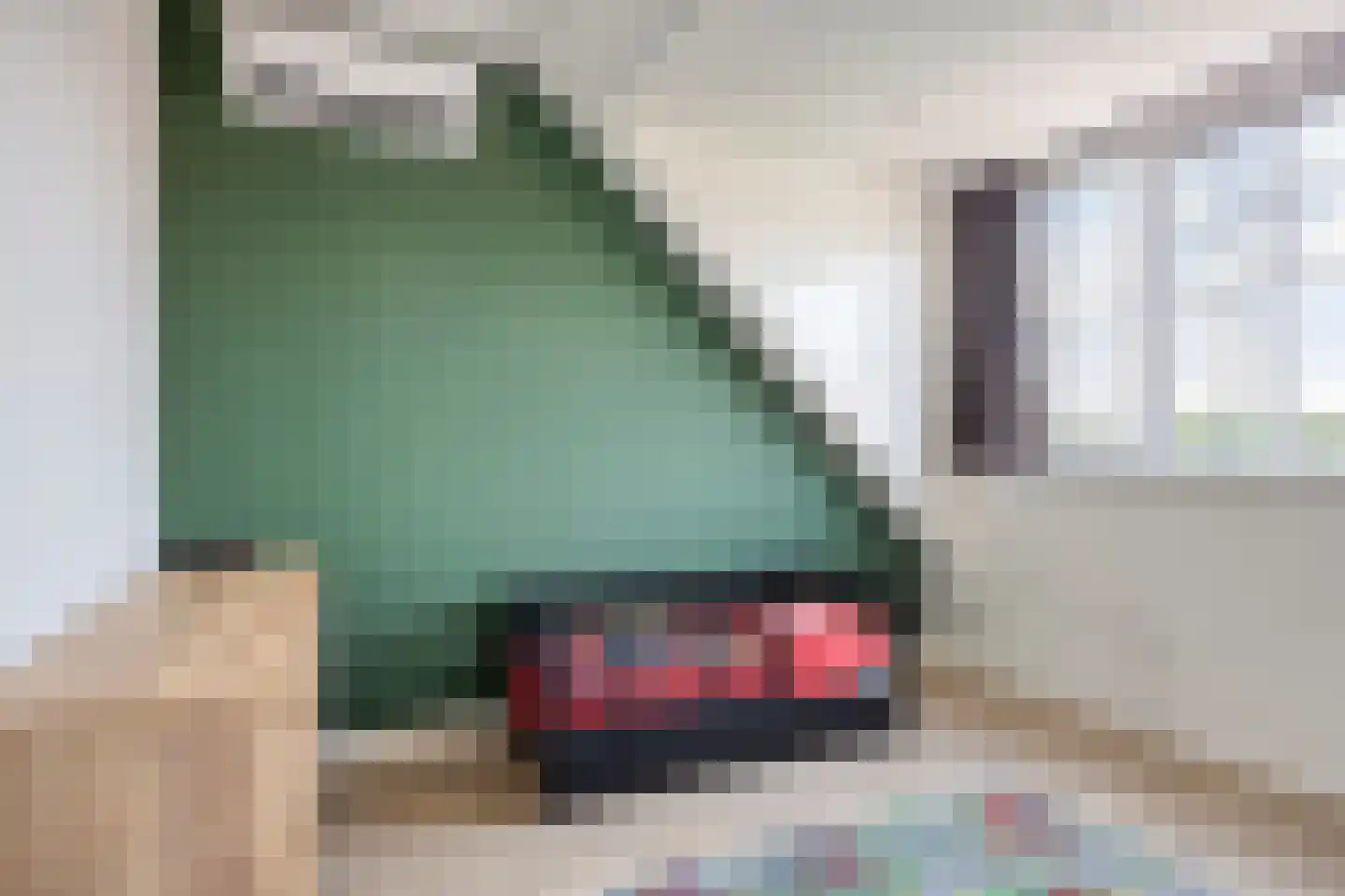 Vriezenbeemden 10 Helmond thumbnail 31