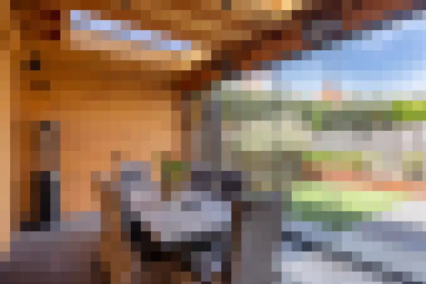 Vriezenbeemden 10 Helmond thumbnail 37