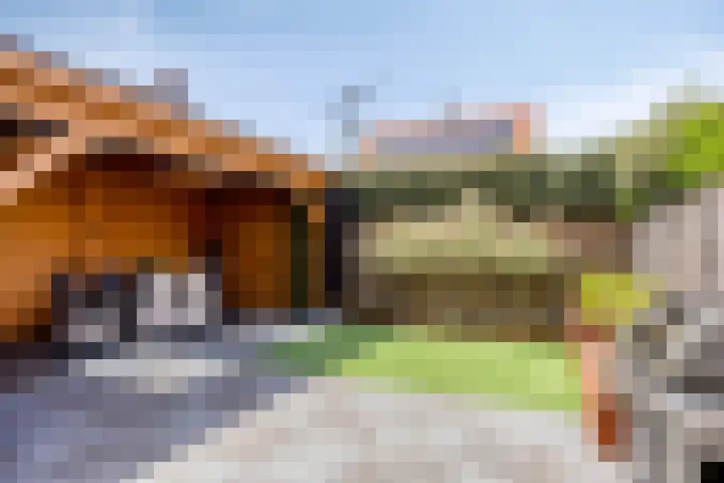 Vriezenbeemden 10 Helmond thumbnail 38