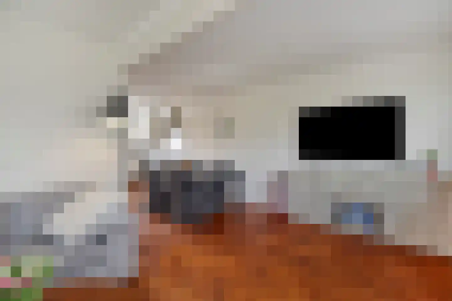 Vriezendijk 2 Steenbergen thumbnail 11