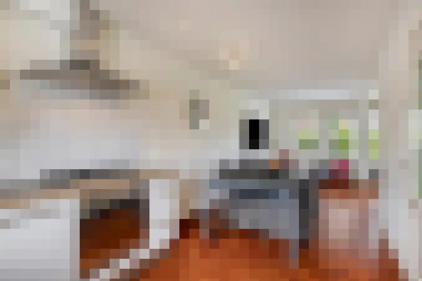 Vriezendijk 2 Steenbergen thumbnail 17