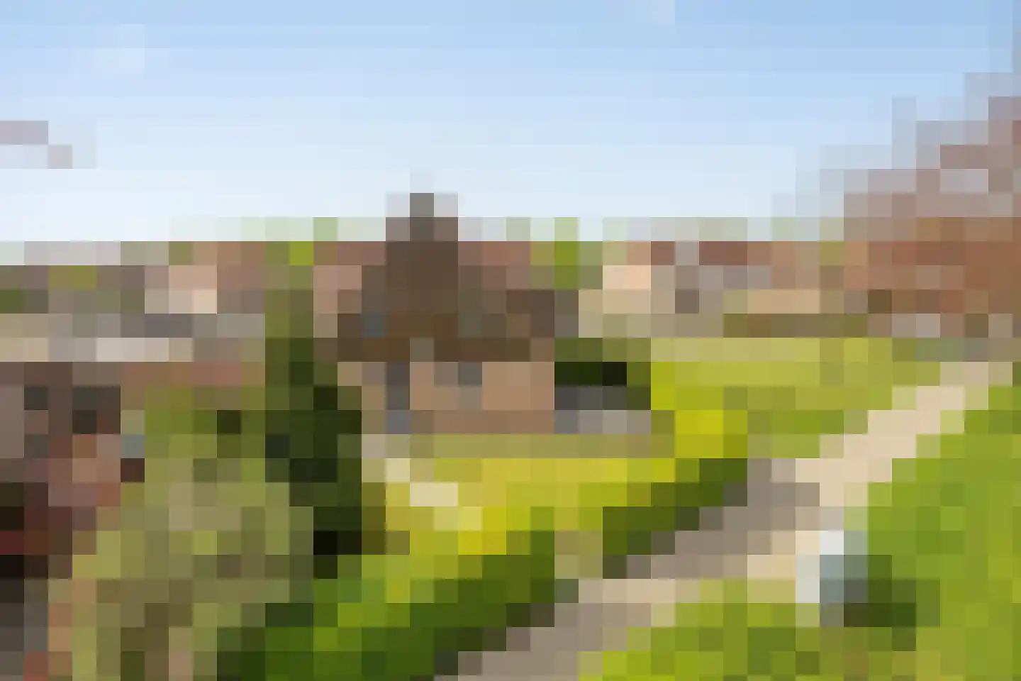 Vriezendijk 2 Steenbergen thumbnail 4