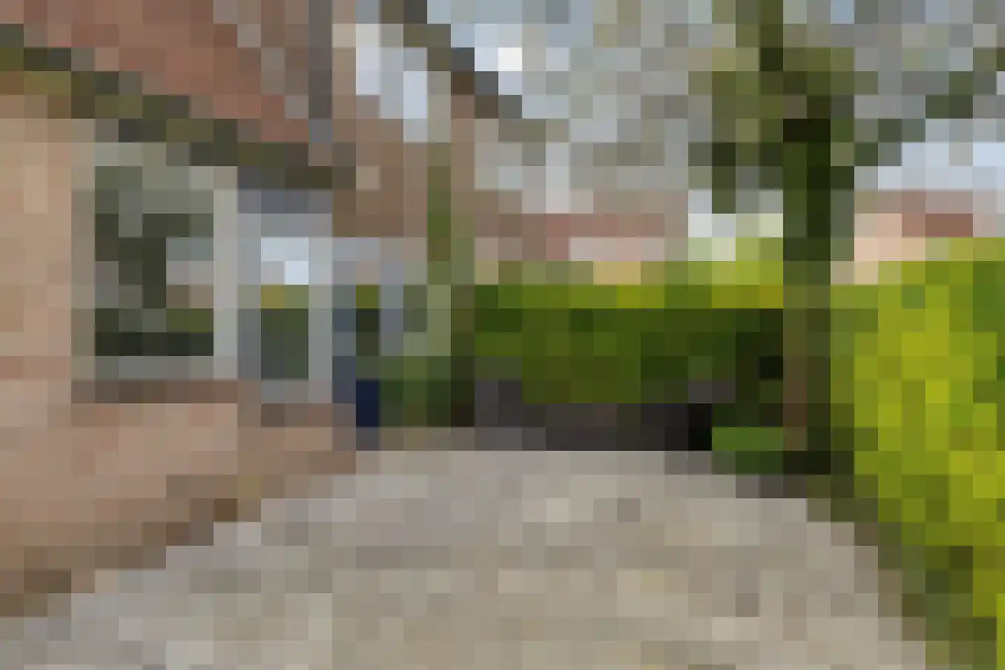 Vriezendijk 2 Steenbergen thumbnail 44