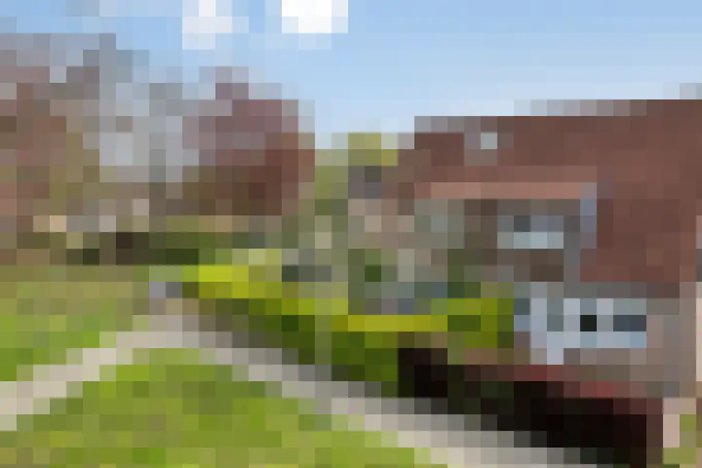 Vriezendijk 2 Steenbergen thumbnail 52