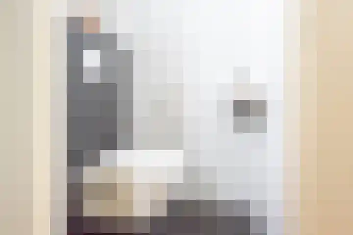 Vriezenkamp 22 Dinxperlo thumbnail 11