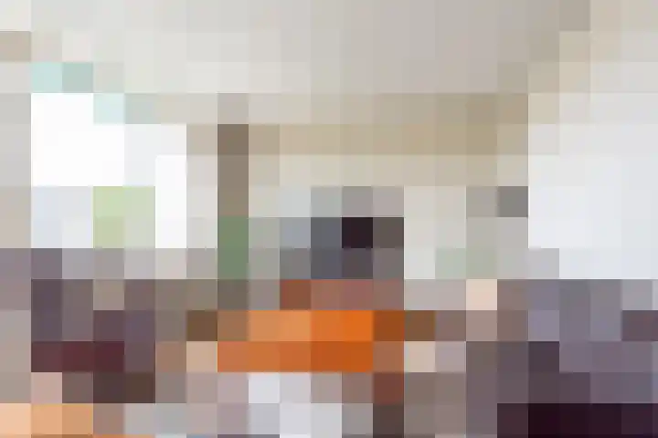 Vriezenkamp 22 Dinxperlo thumbnail 14