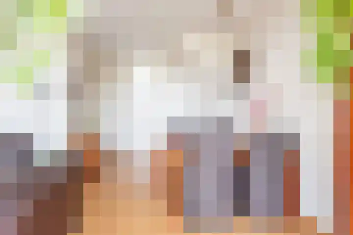 Vriezenkamp 22 Dinxperlo thumbnail 16