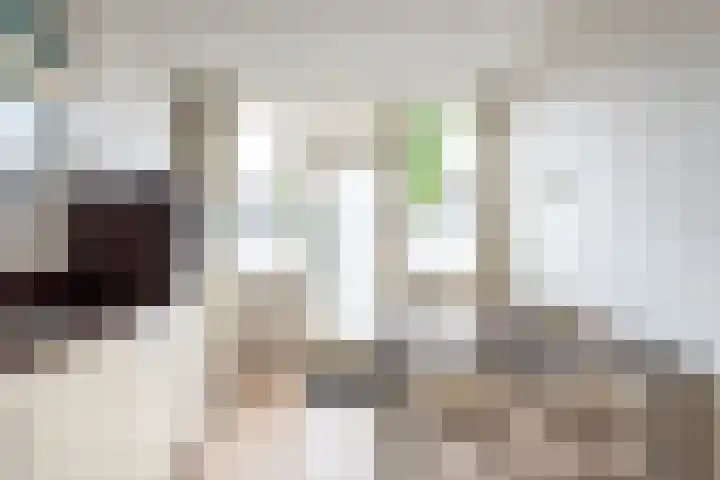 Vriezenkamp 22 Dinxperlo thumbnail 18