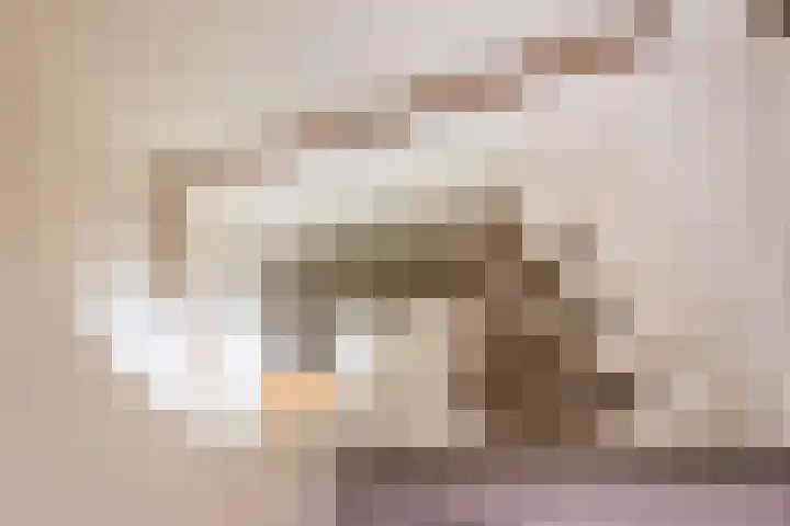 Vriezenkamp 22 Dinxperlo thumbnail 20