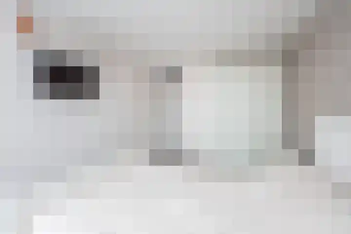 Vriezenkamp 22 Dinxperlo thumbnail 23