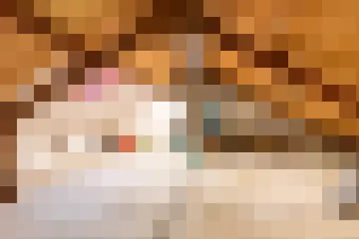 Vriezenkamp 22 Dinxperlo thumbnail 32