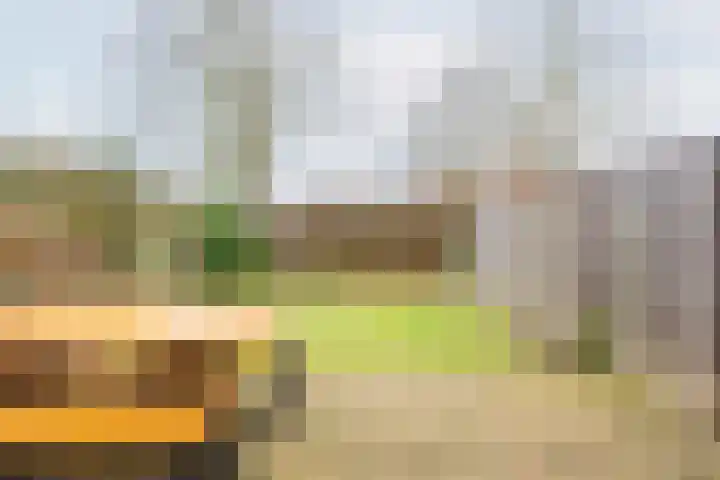 Vriezenkamp 22 Dinxperlo thumbnail 33