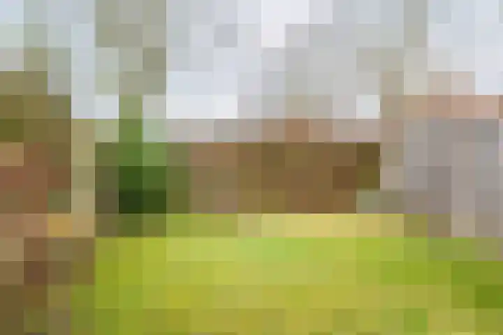 Vriezenkamp 22 Dinxperlo thumbnail 34