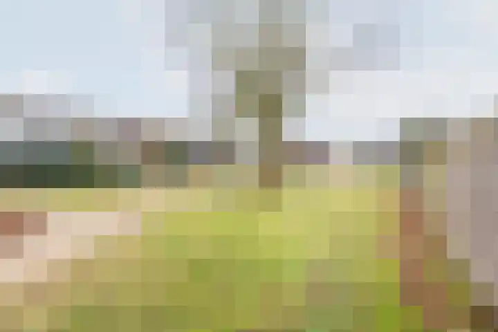Vriezenkamp 22 Dinxperlo thumbnail 37