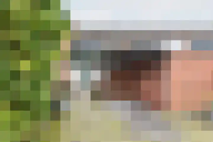 Vriezenkamp 22 Dinxperlo thumbnail 5