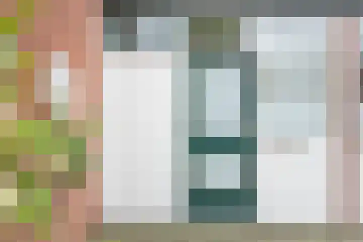 Vriezenkamp 22 Dinxperlo thumbnail 8