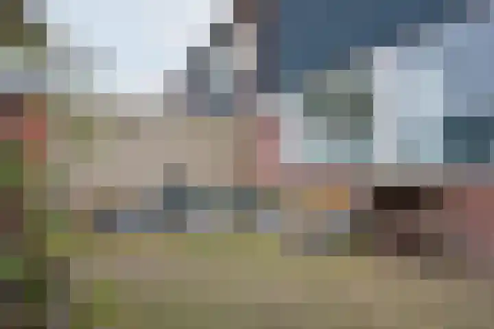 Vriezenkamp 44 Dinxperlo thumbnail 11