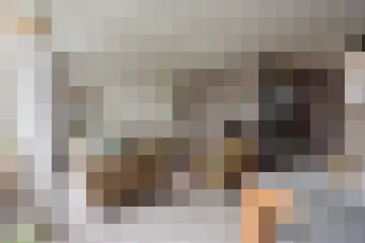 Vriezenkamp 44 Dinxperlo thumbnail 18