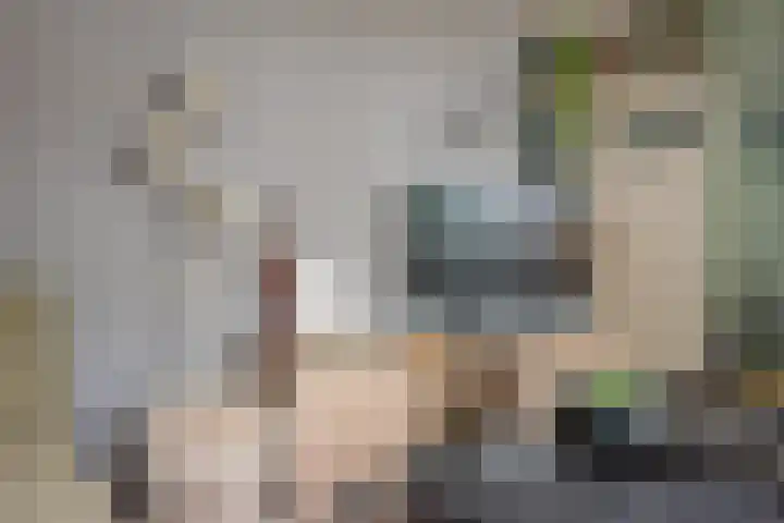 Vriezenkamp 44 Dinxperlo thumbnail 20
