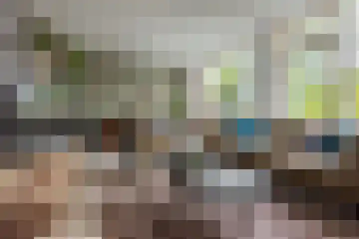 Vriezenkamp 44 Dinxperlo thumbnail 21