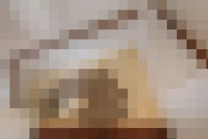 Vriezenkamp 44 Dinxperlo thumbnail 25