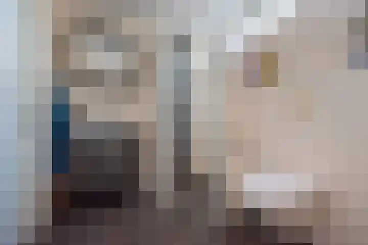 Vriezenkamp 44 Dinxperlo thumbnail 33